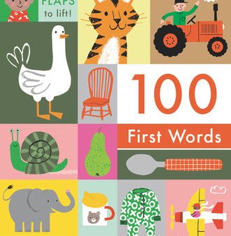 100 First Words: With Flaps to Lift on Sale