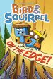 Bird & Squirrel on the Edge!: A Graphic Novel (Bird & Squirrel #3) For Discount