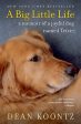 Big Little Life: A Memoir of a Joyful Dog Named Trixie, A Sale