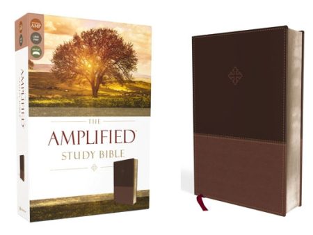 Amplified Study Bible, Imitation Leather, Brown Discount