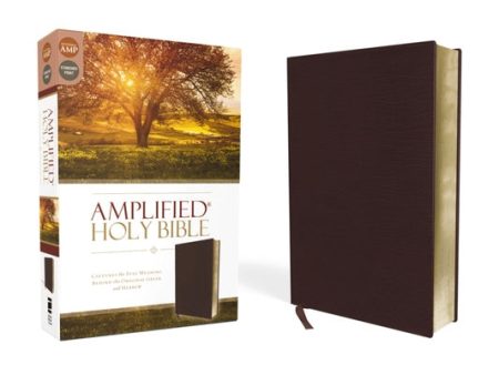 Amplified Bible-Am: Captures the Full Meaning Behind the Original Greek and Hebrew Hot on Sale